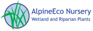 Alpine Eco Nursery Logo