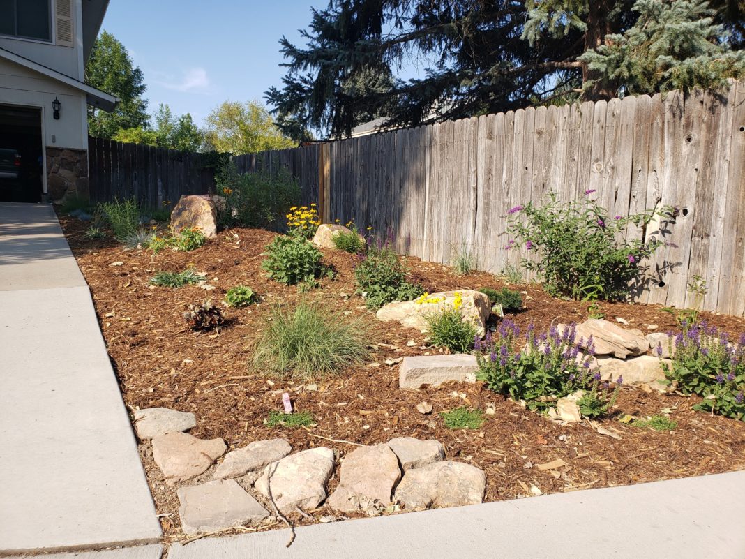 Water Saving Case Study Fort Collins Xeriscape Incentive Program 