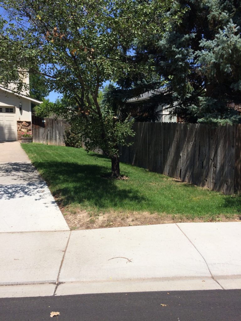 water-saving-case-study-fort-collins-xeriscape-incentive-program