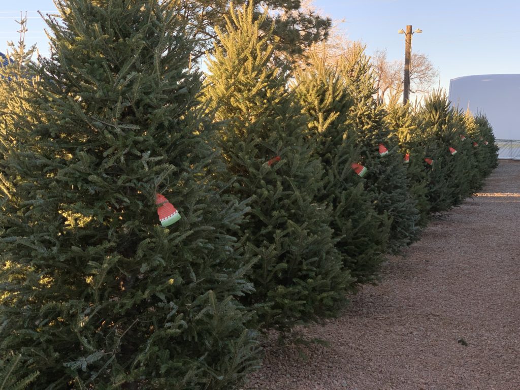 Row of christmas tree
